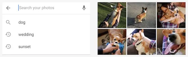 Beispiel für eine Google Fotos-Suche