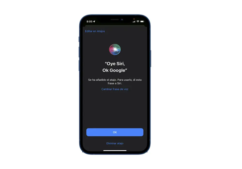 Aktivieren Sie Google Assistant in Siri
