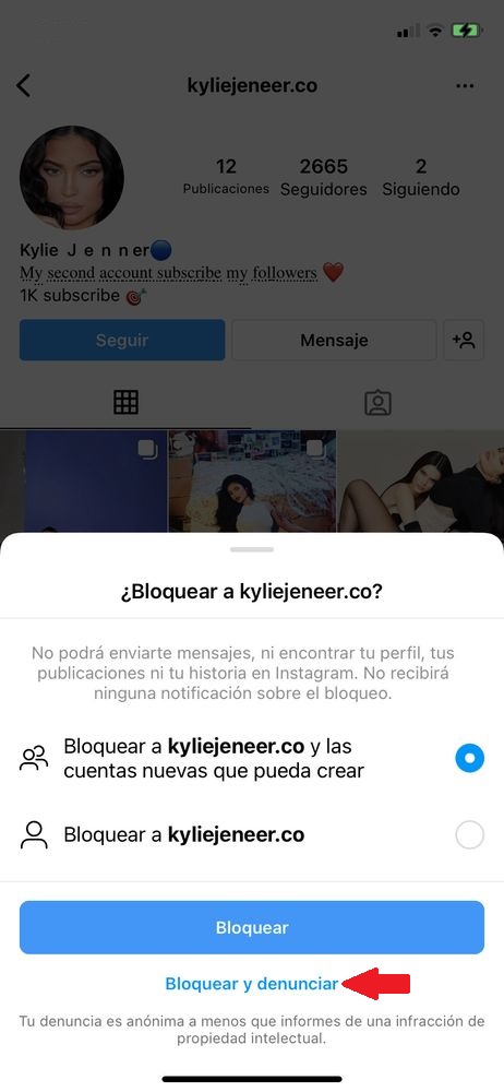 Blockieren Sie das Melden eines gefälschten Profils auf Instagram Schritt 3
