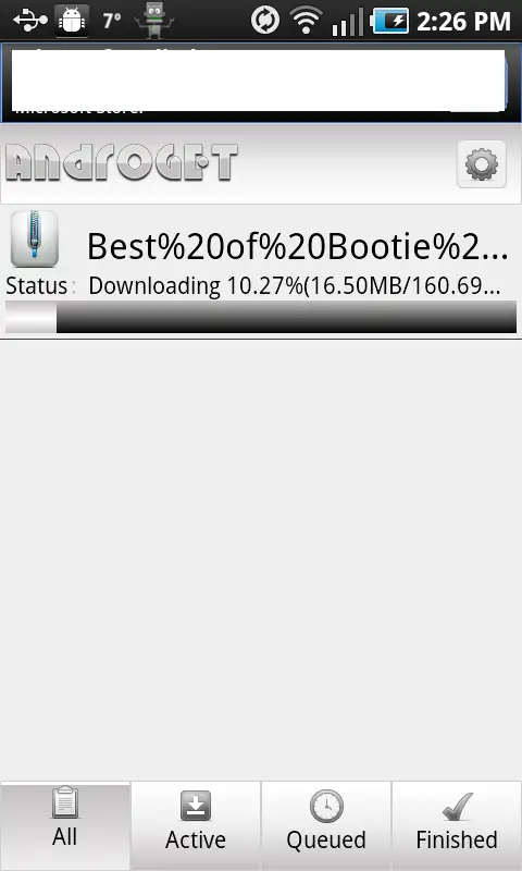 Schritt 5: Download-Status.