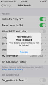 So löschen Sie Siri-Aufzeichnungen von Apple-Server-Aufzeichnungen7