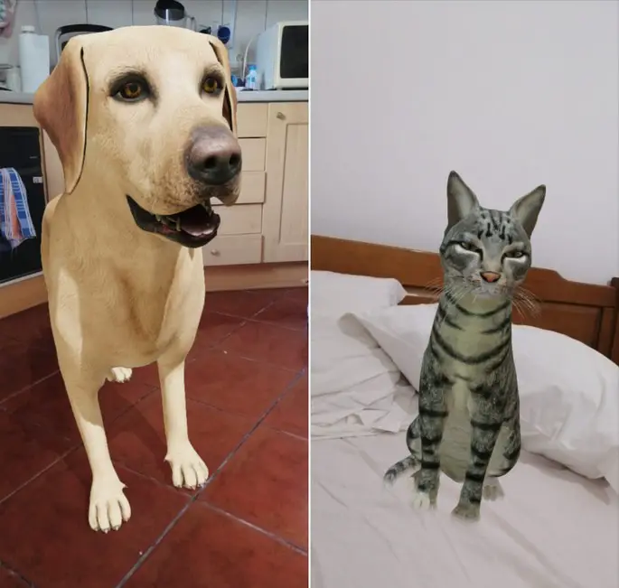 Google Hund und Katze Augmented Reality