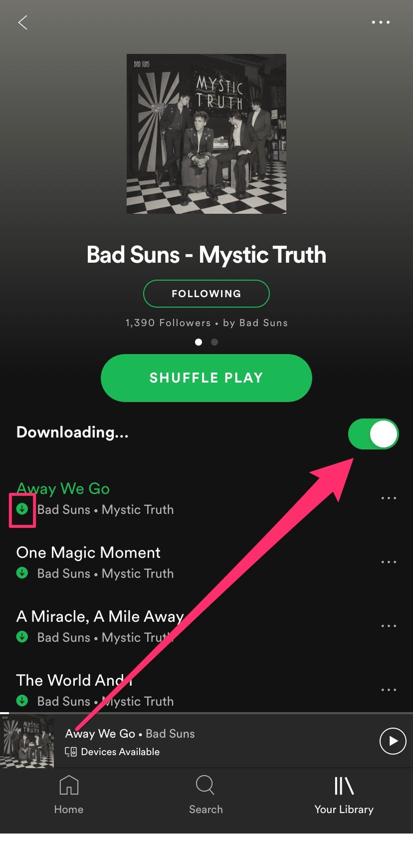 So laden Sie Musik von Spotify herunter