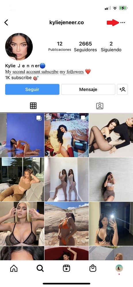 Blockieren Sie das Melden eines gefälschten Profils auf Instagram Schritt 1