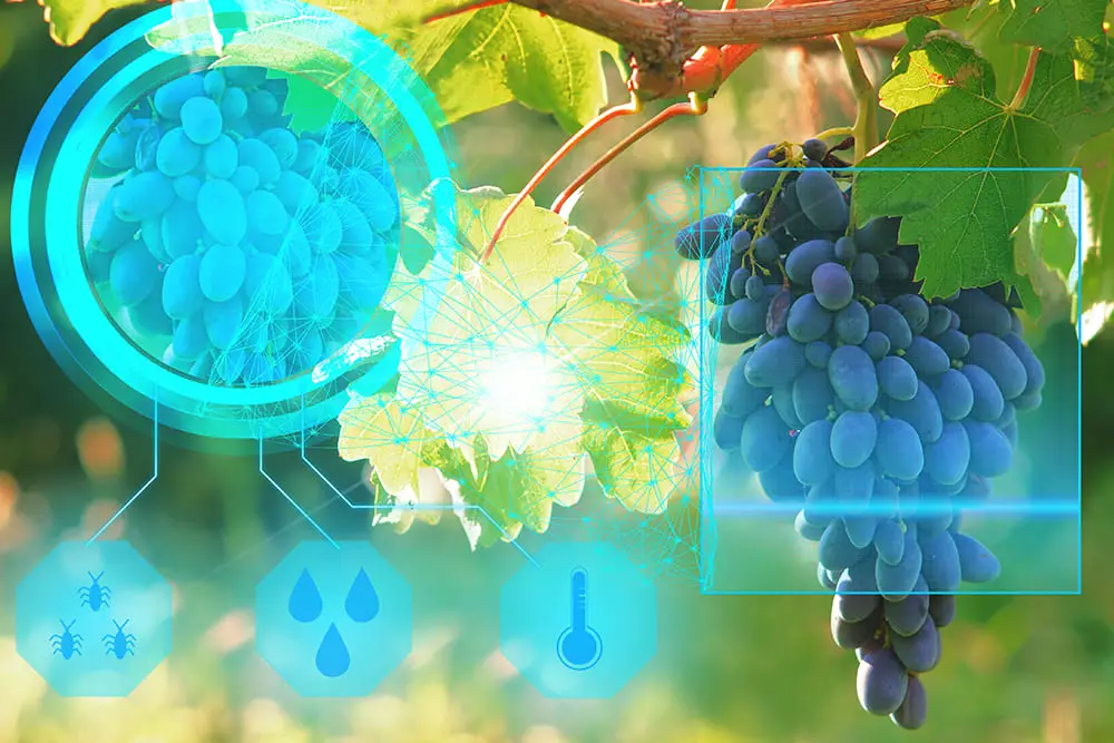 Vivino: Wählen Sie Ihren nächsten großartigen Wein mit Big Data und künstlicher Intelligenz |  Bernard Marr