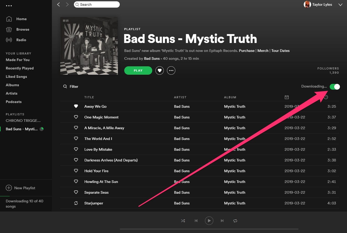 So laden Sie Musik von Spotify herunter