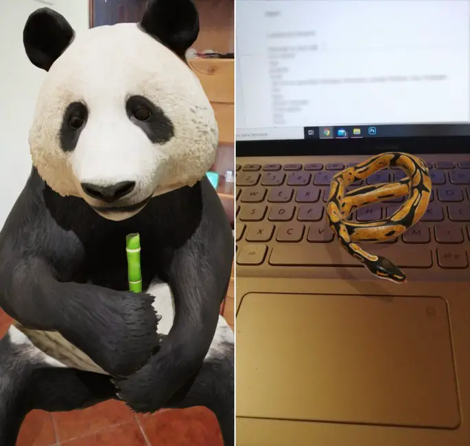 Google Tiere 3D Schlange Panda